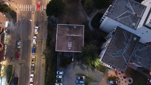 Proxiel [13-01-2022](0362).jpg